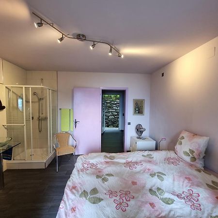 Residence Venus Garden Brissago Kamer foto